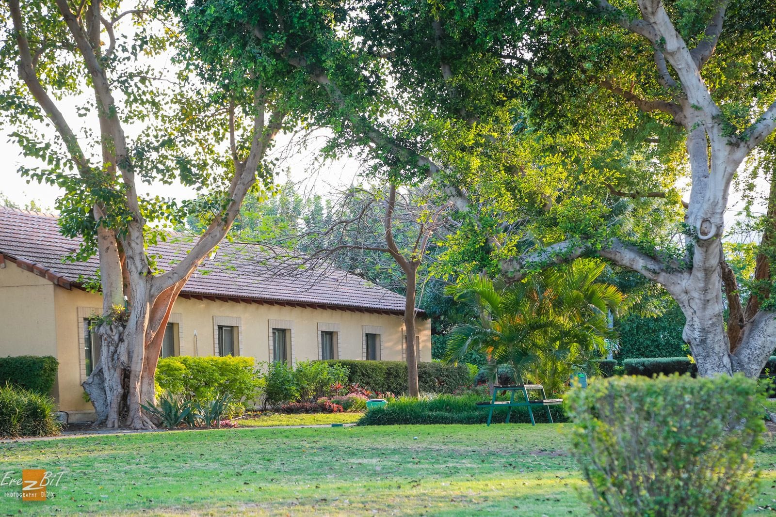 The Ohalo Mansion