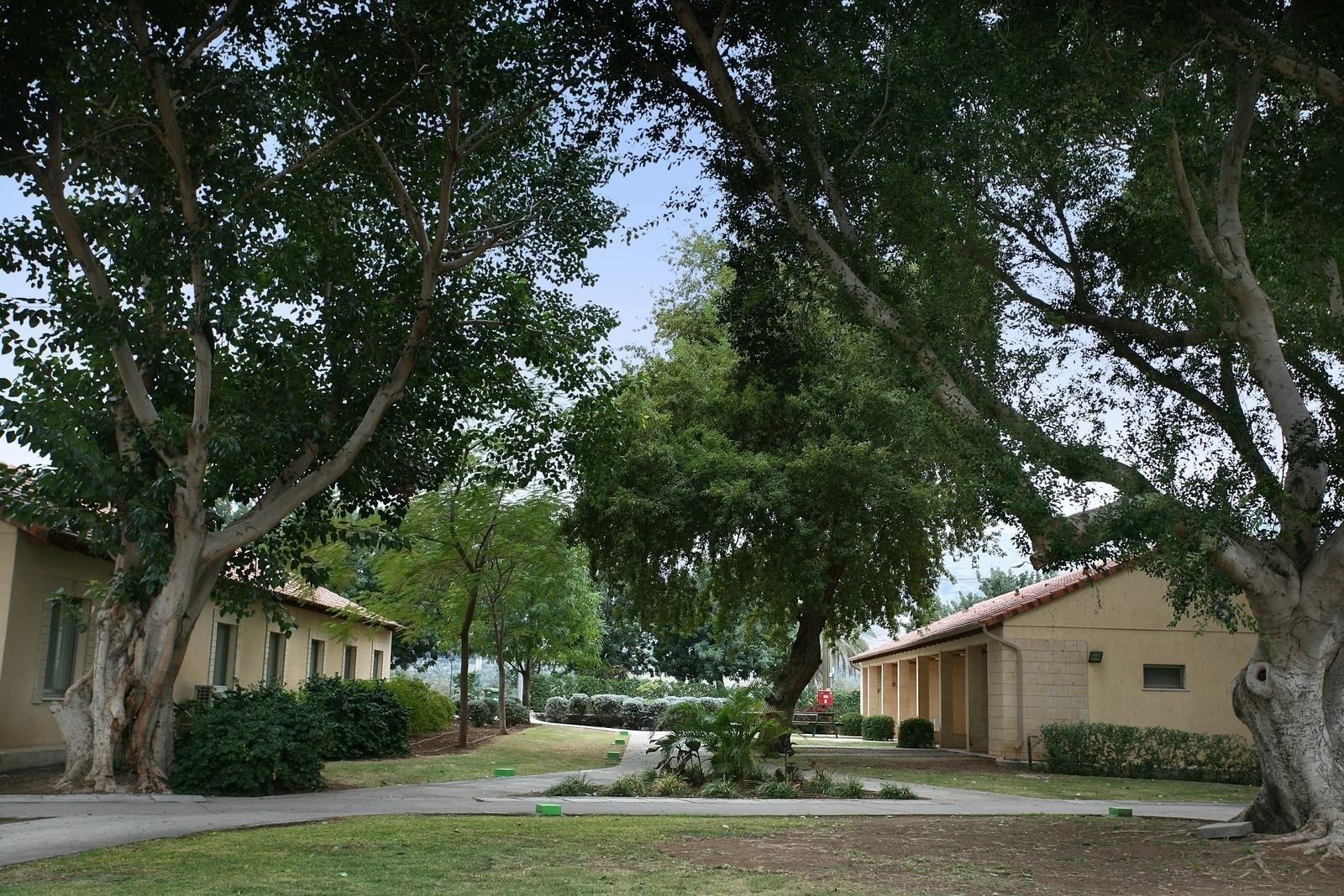 The Ohalo Mansion