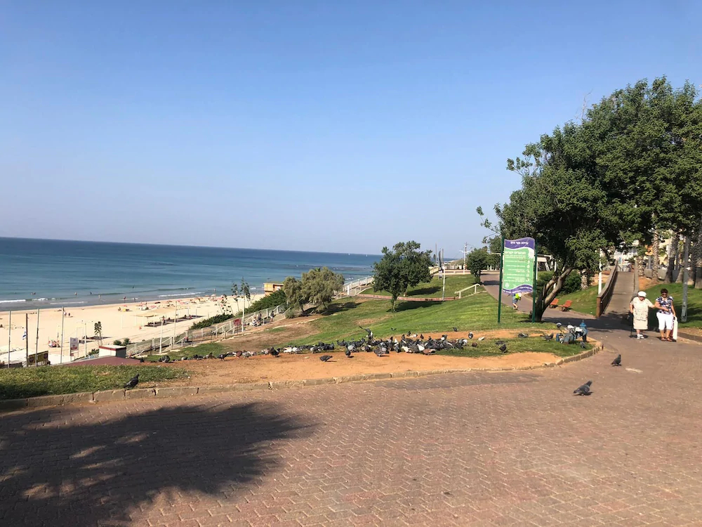 Sea Line From R&A Group