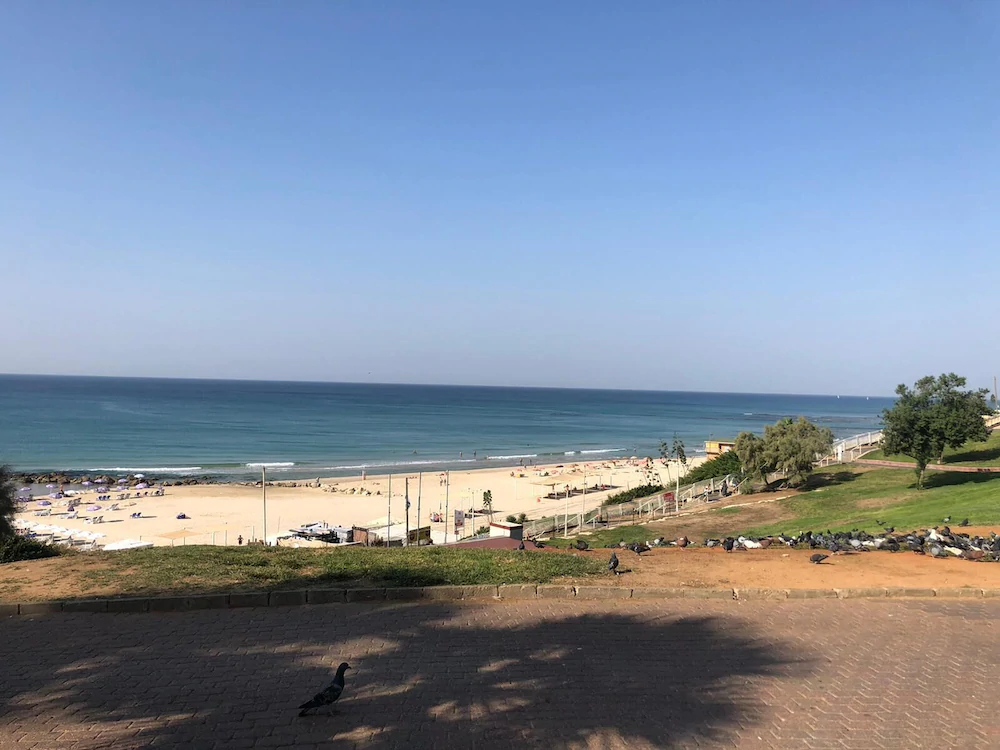 Sea Line From R&A Group