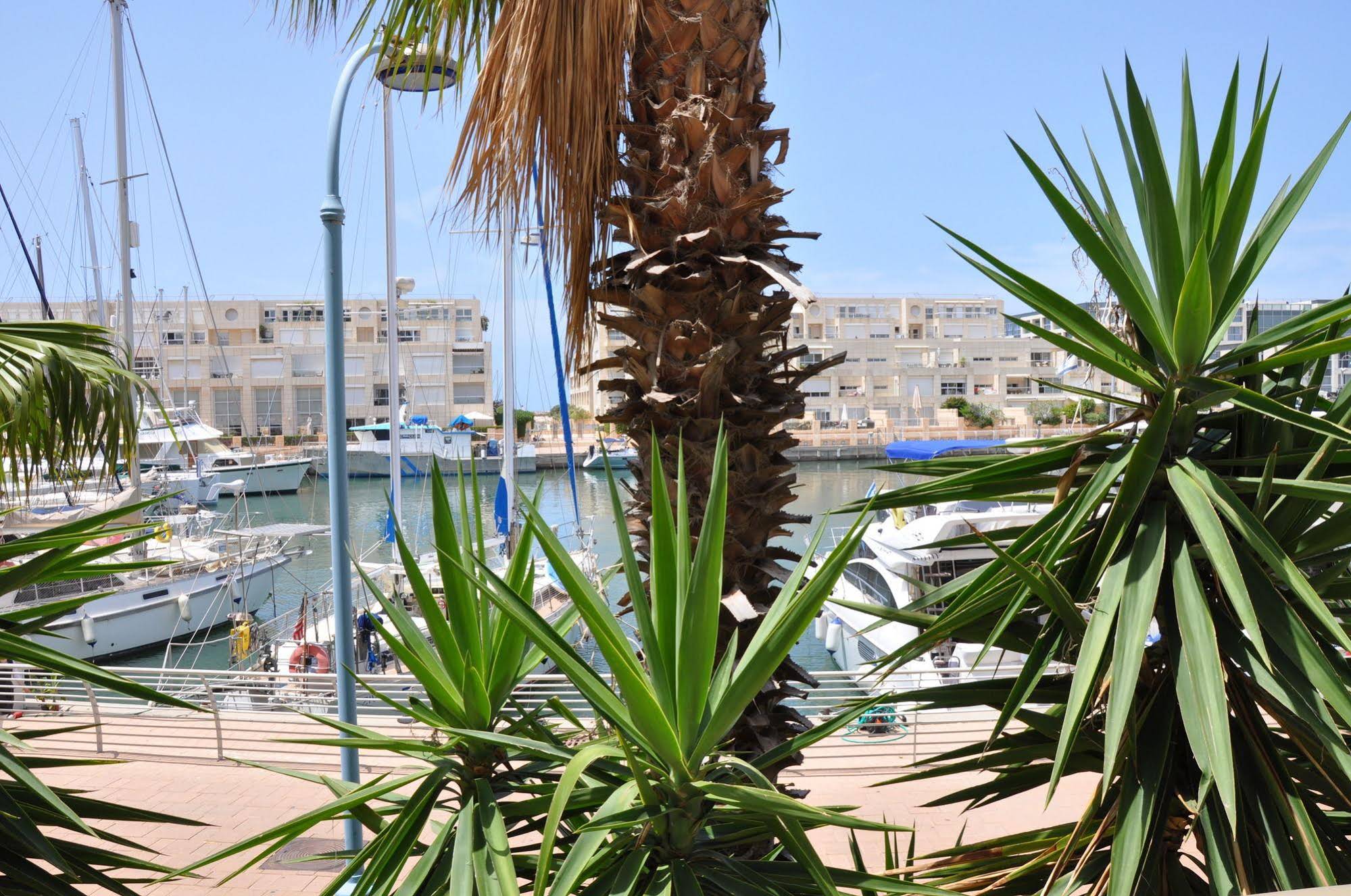 Hosteeva Marina Luxury Suite