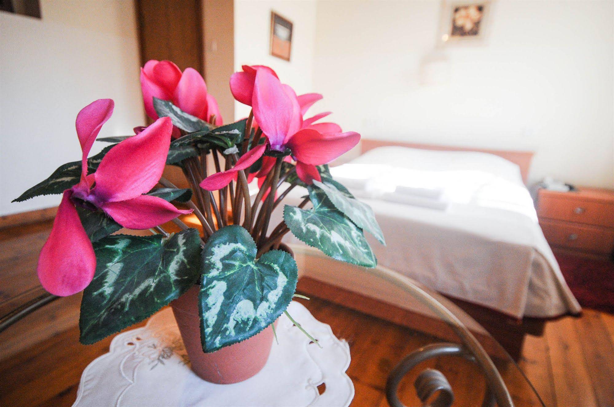 Hapina-Shel-Michal Hotel
