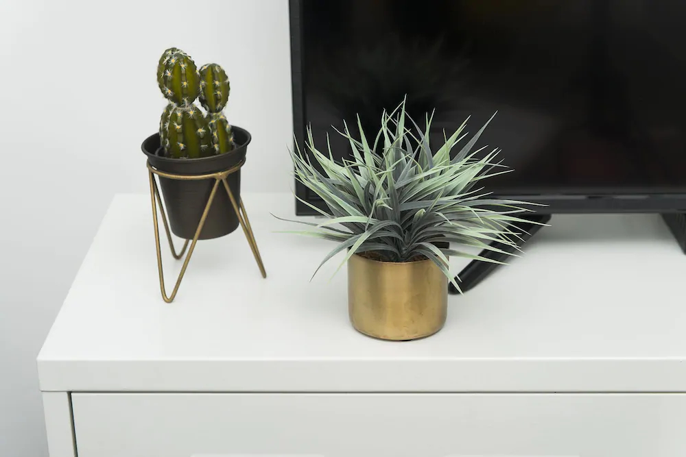 Bauhaus Boutique by TLV2rent