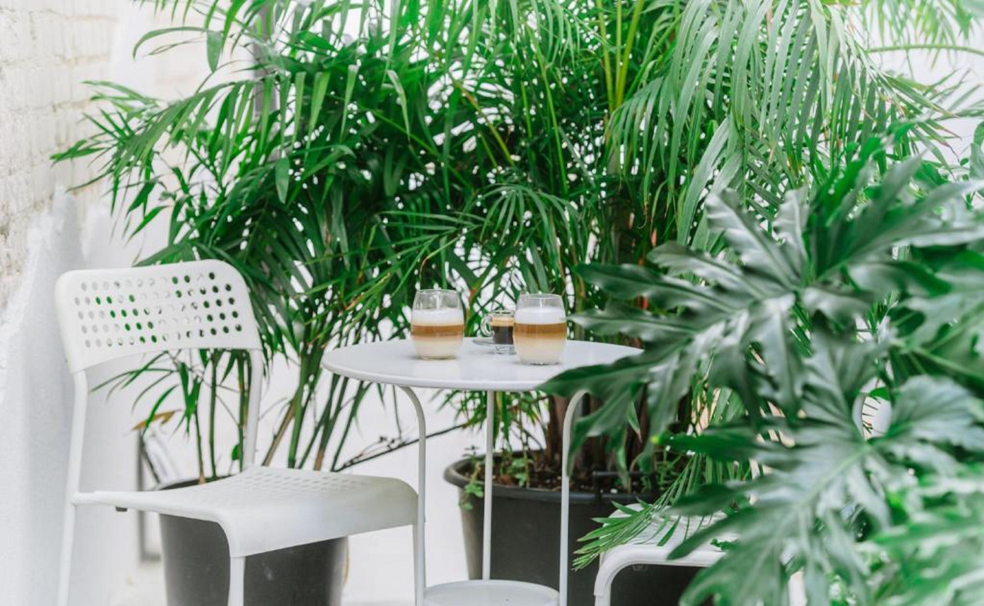 ColorBox Hotel By Loginn Hotels