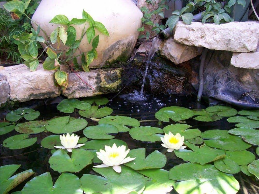 Dekel Guesthouse Hostel Ramat Gan