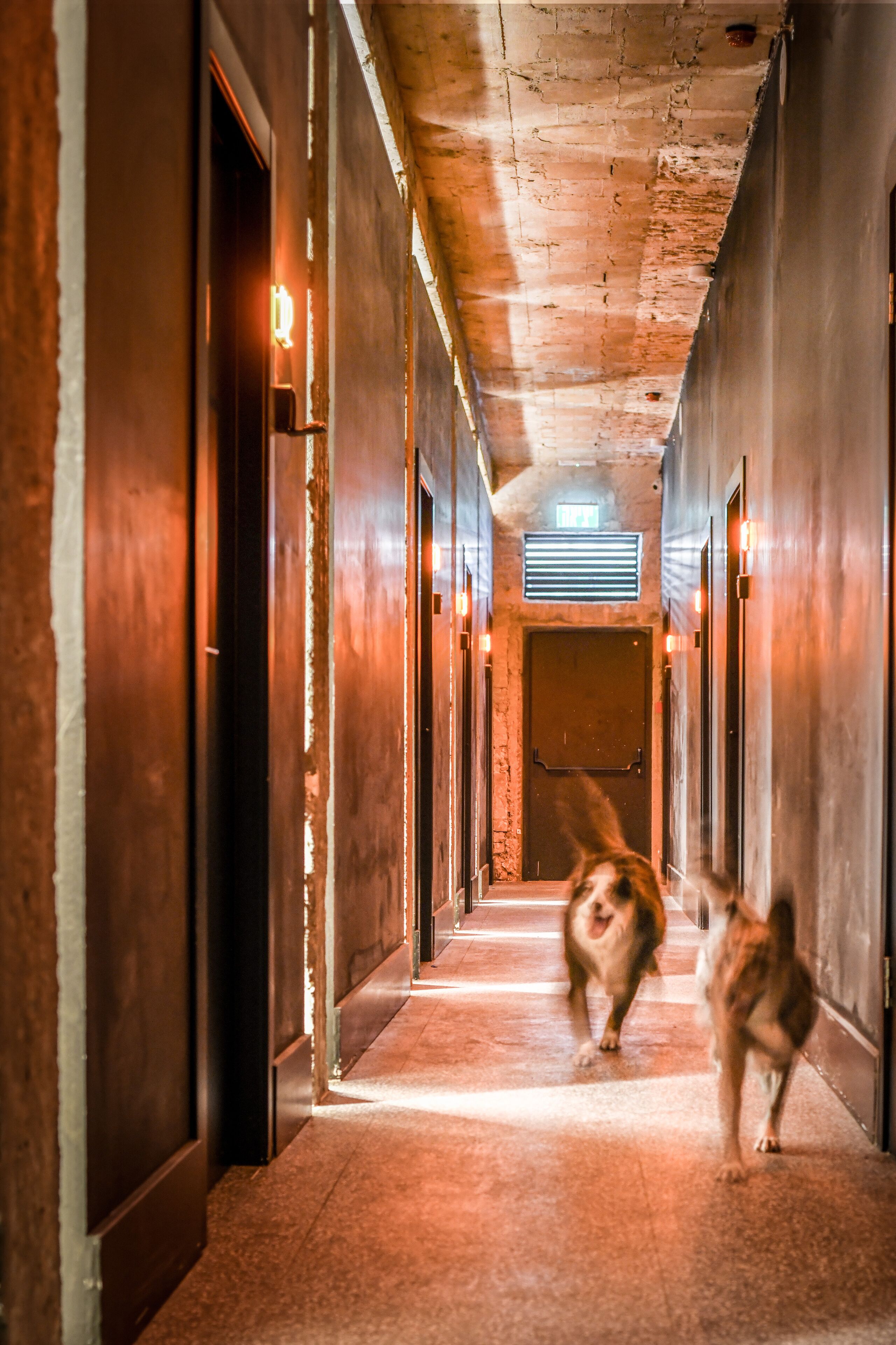 Pixel – An Autonomous Hotel by Loginn