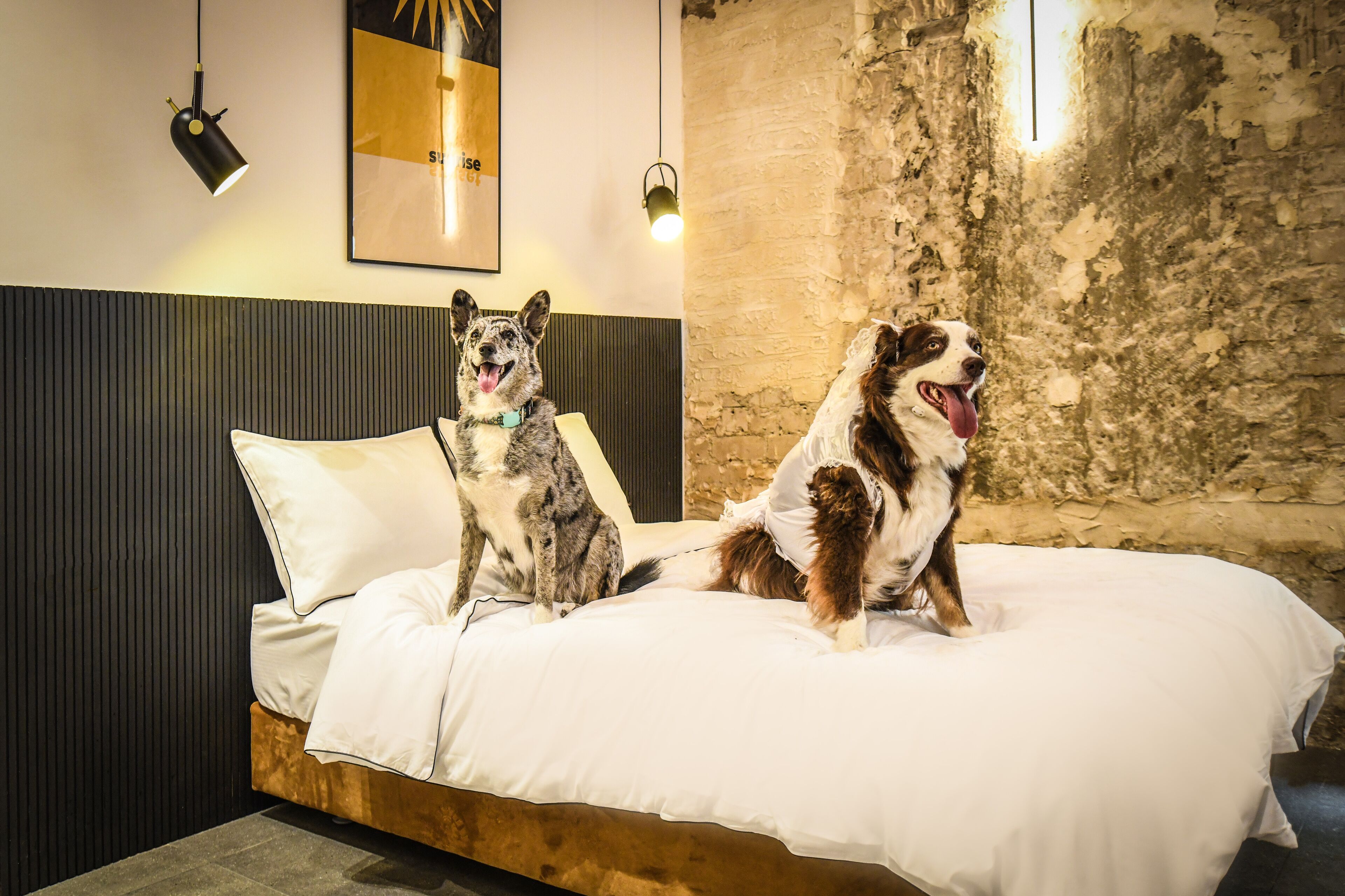 Pixel – An Autonomous Hotel by Loginn
