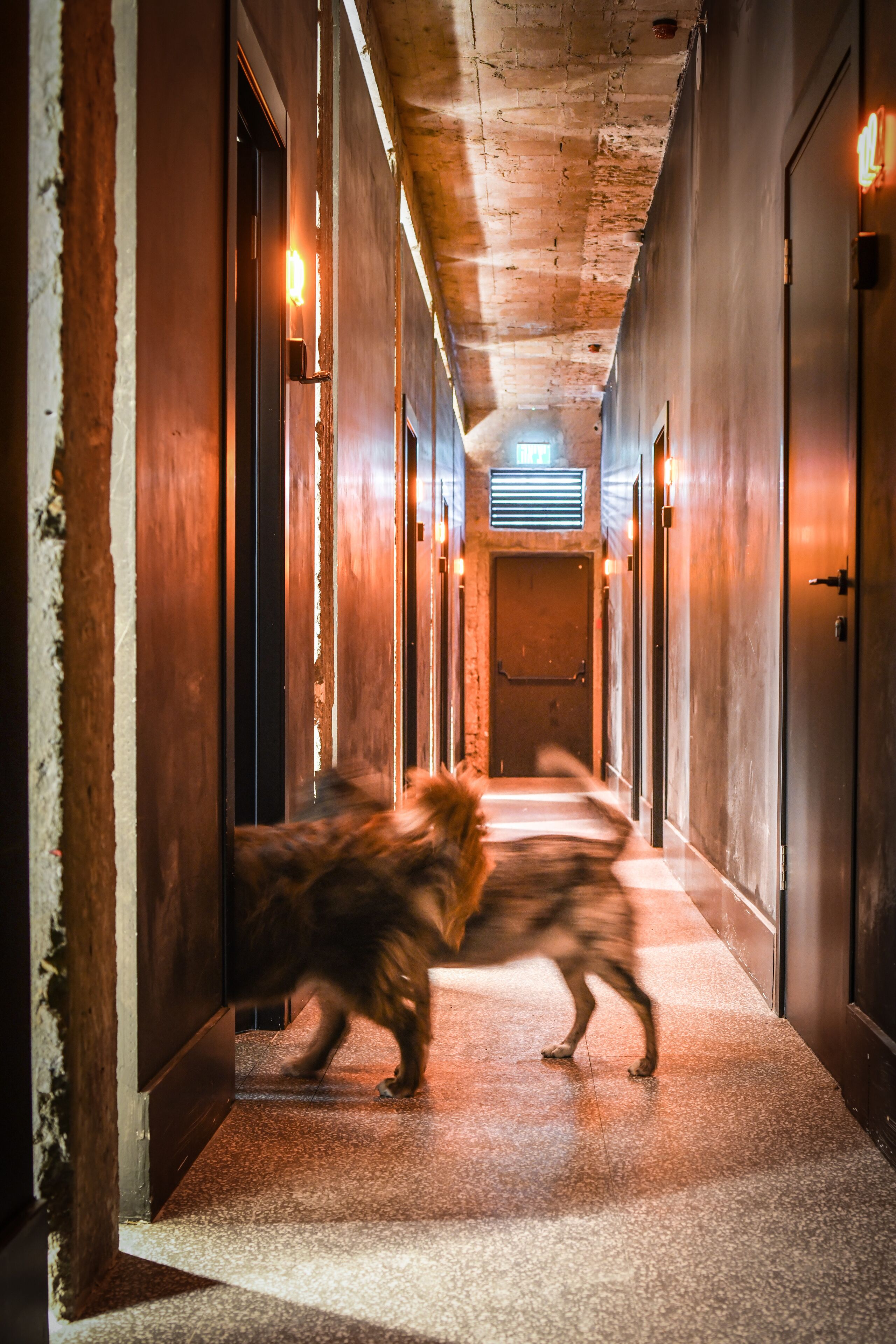 Pixel – An Autonomous Hotel by Loginn