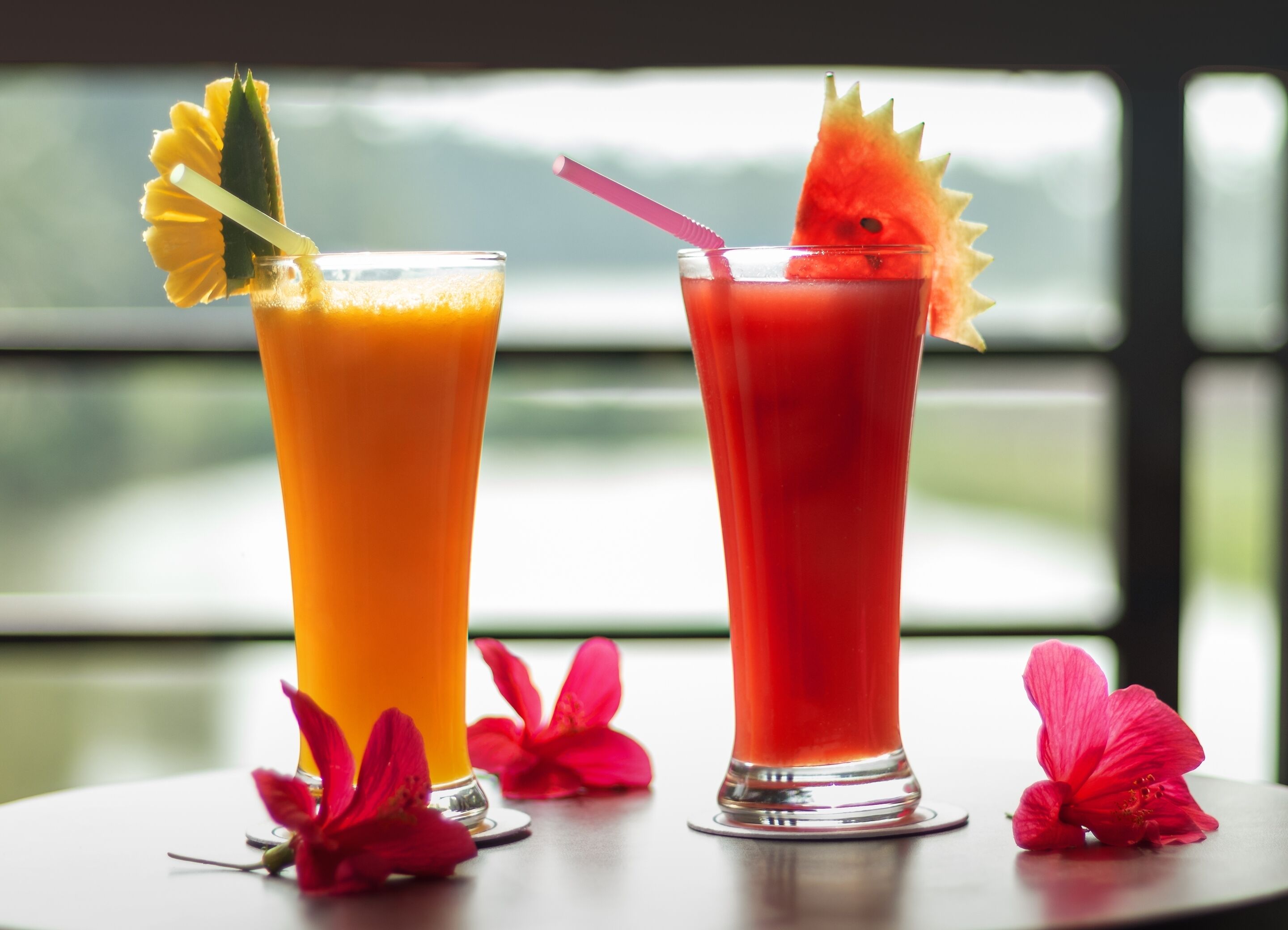 Dindi RVR, A Club Mahindra Associate Resort