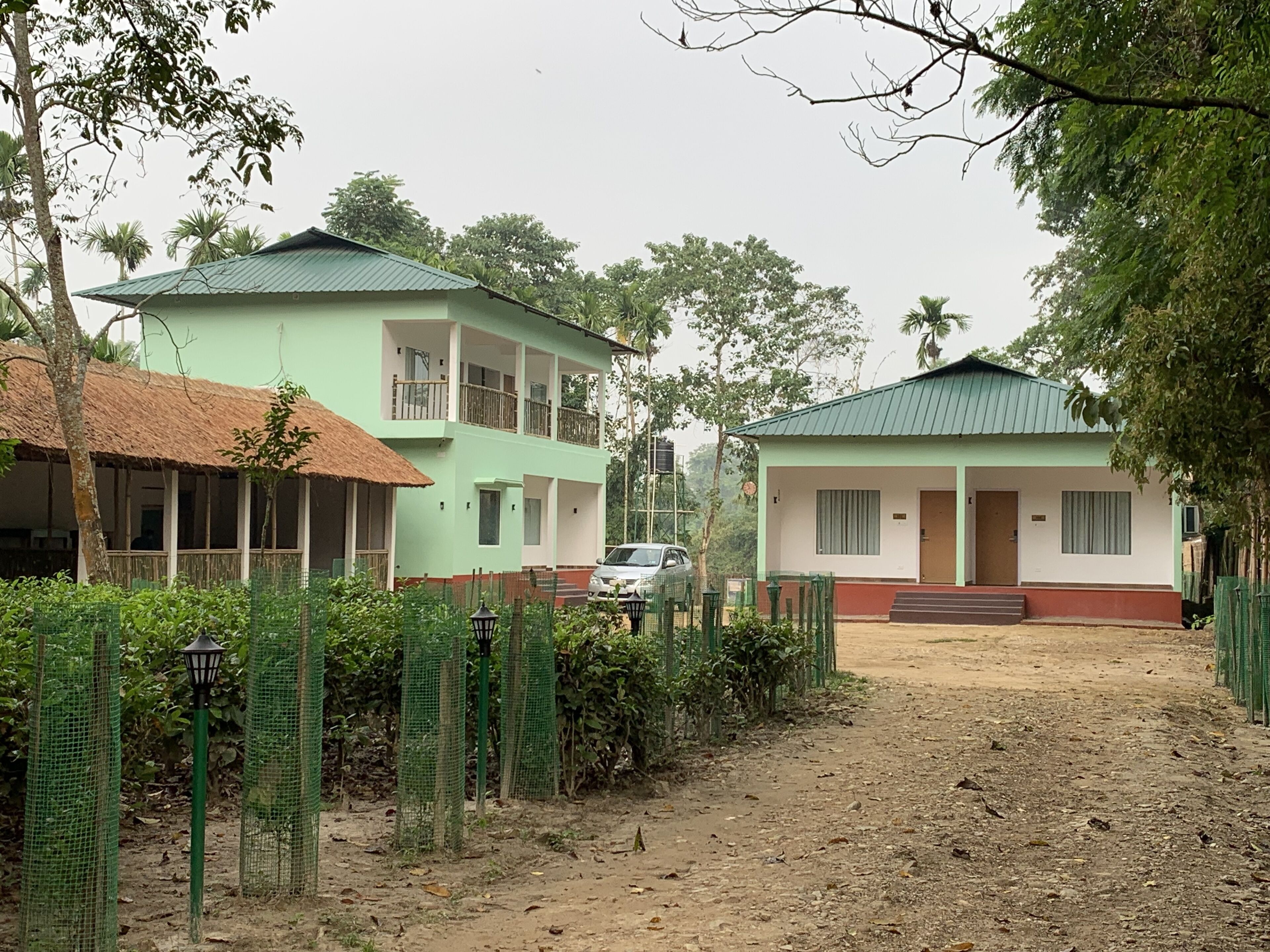 Jungleciti House