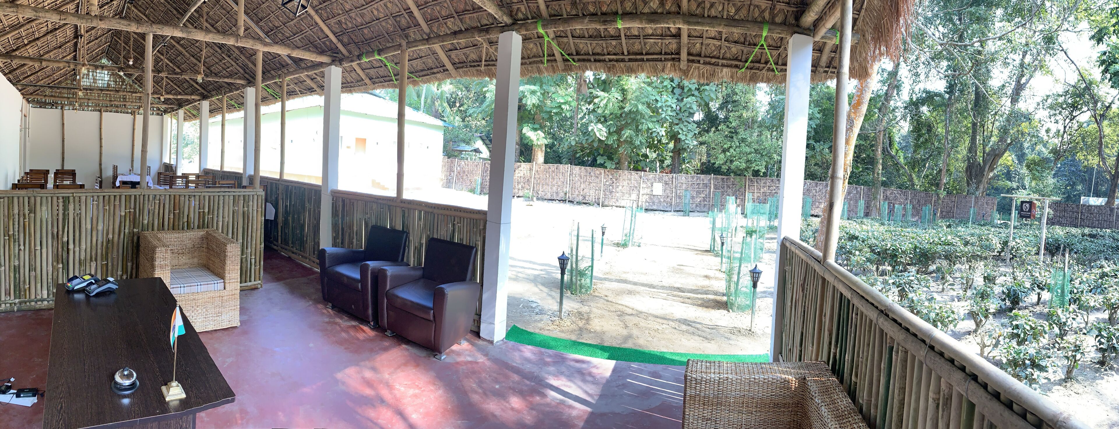 Jungleciti House