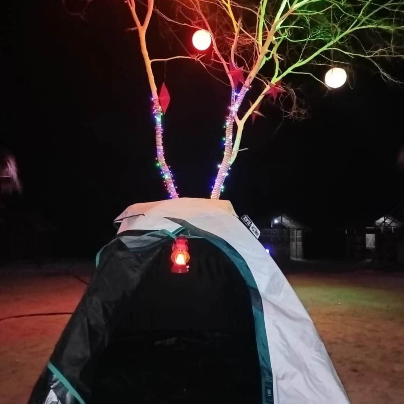 Homocation Beach Eco Camp