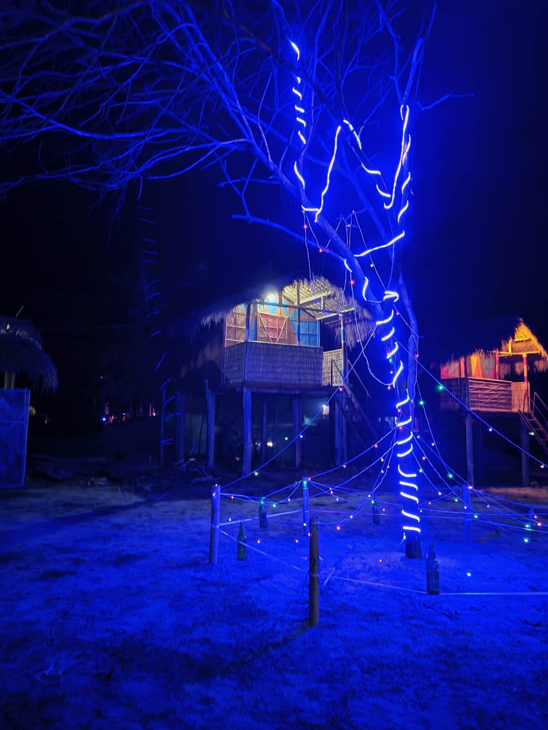 Homocation Beach Eco Camp