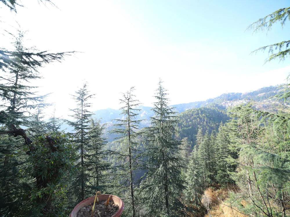 Hotel Shine By OYO Rooms