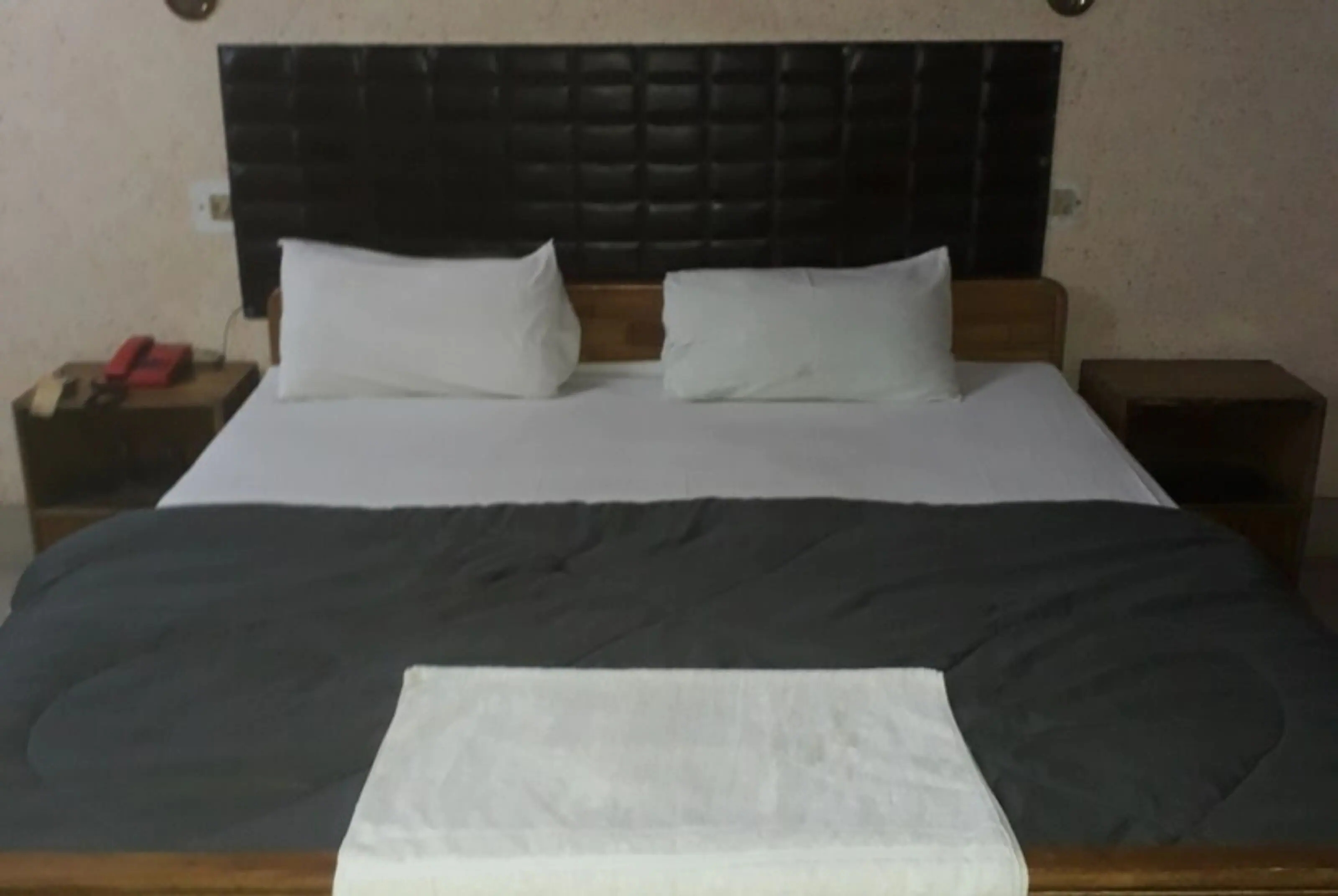 Welcome Palace Patna by Goroomgo