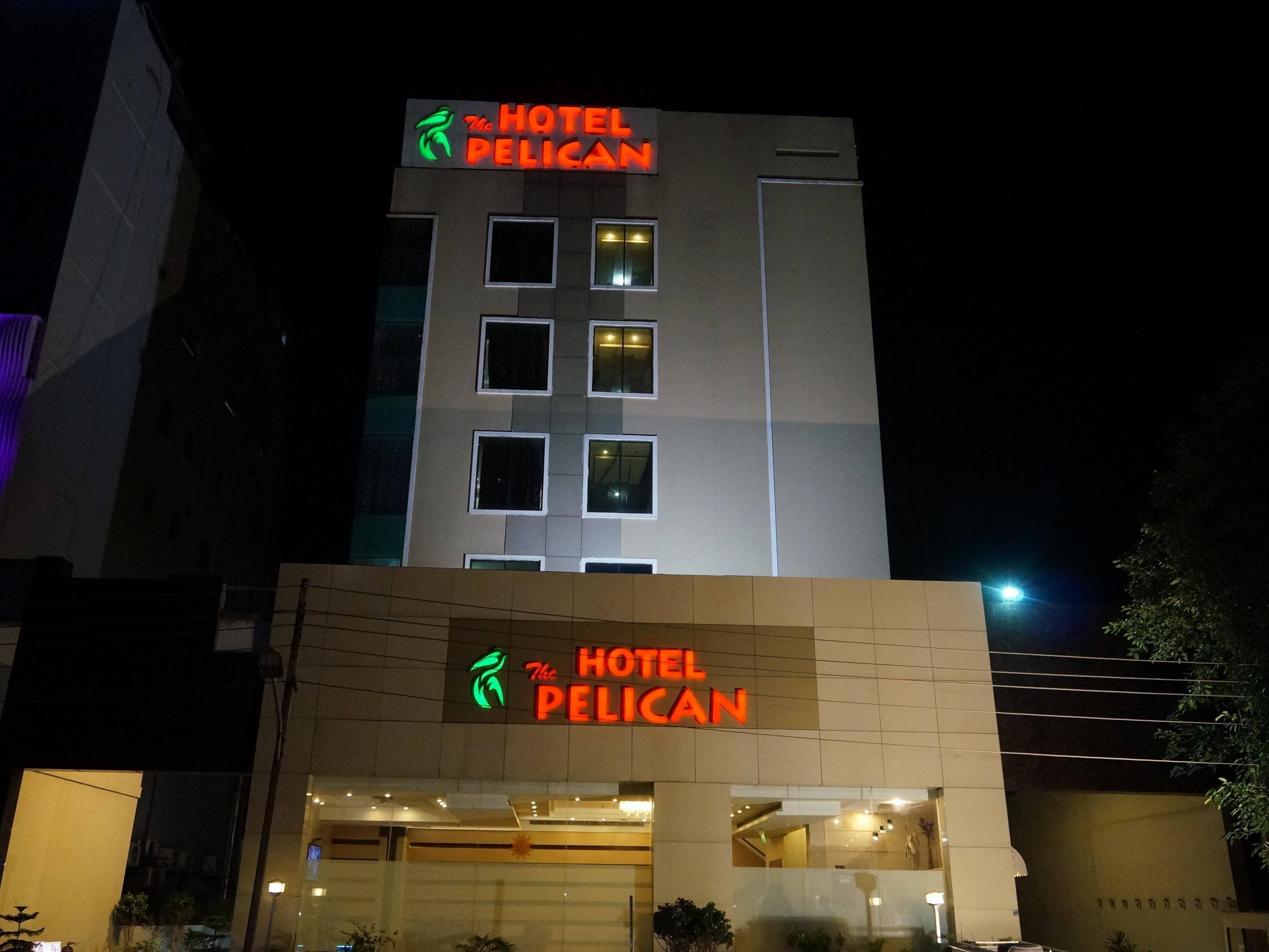 The Pelican