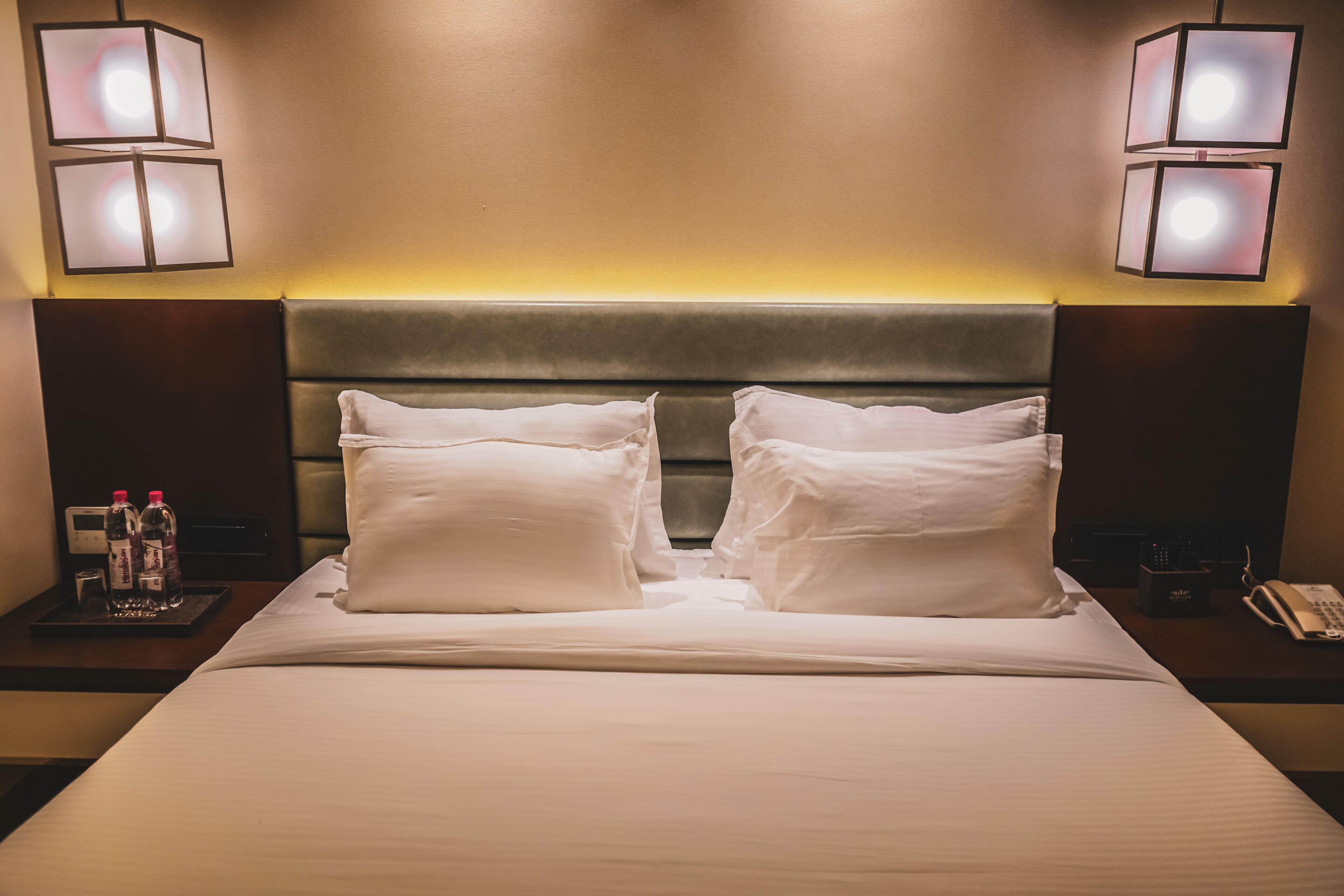 Hotel Avinash International