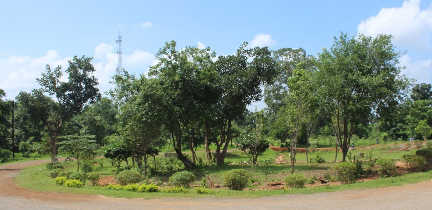 Soumya Resorts