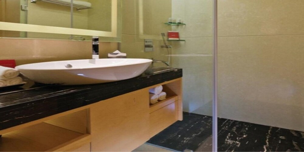 Sayaji Hotel Raipur