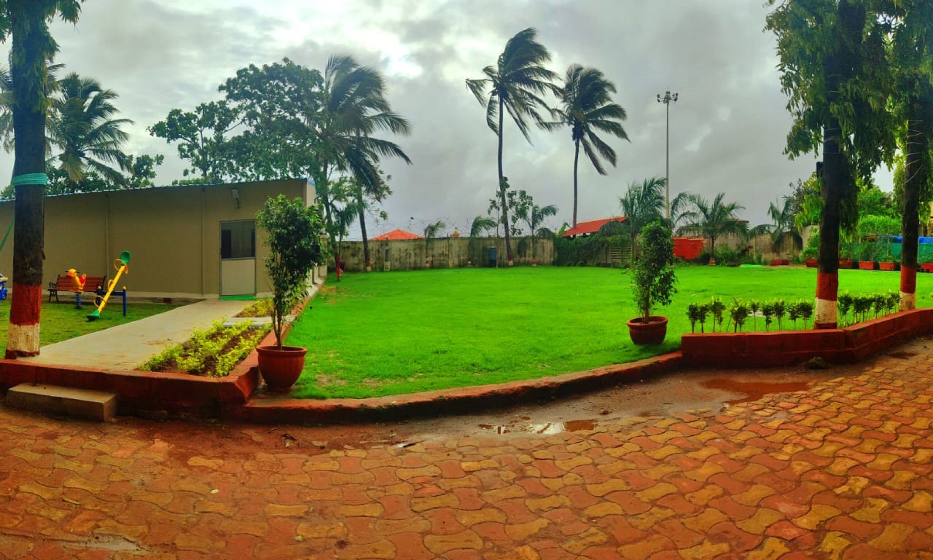 Purple Beds by VITS Daman