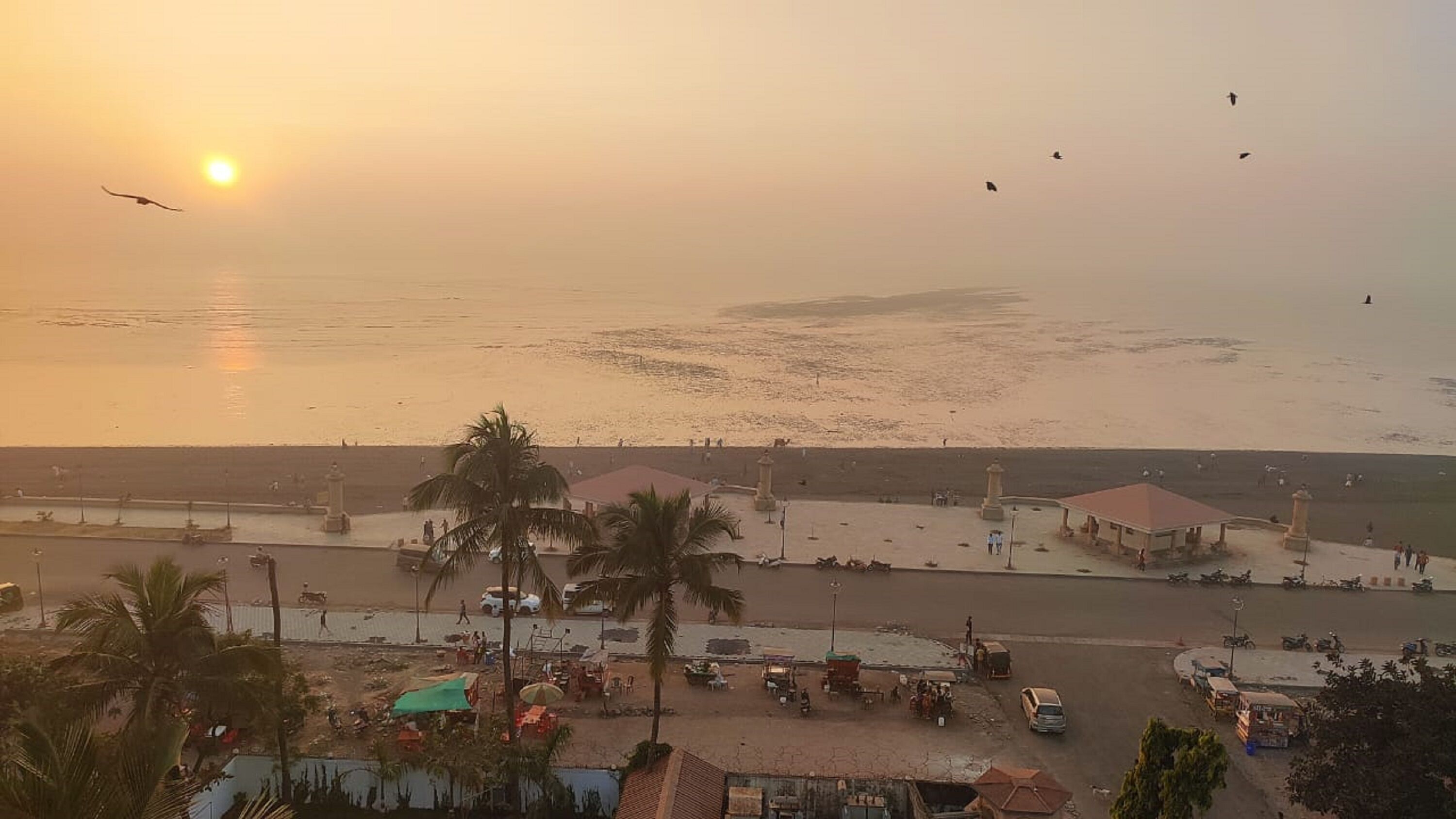 Purple Beds by VITS Daman