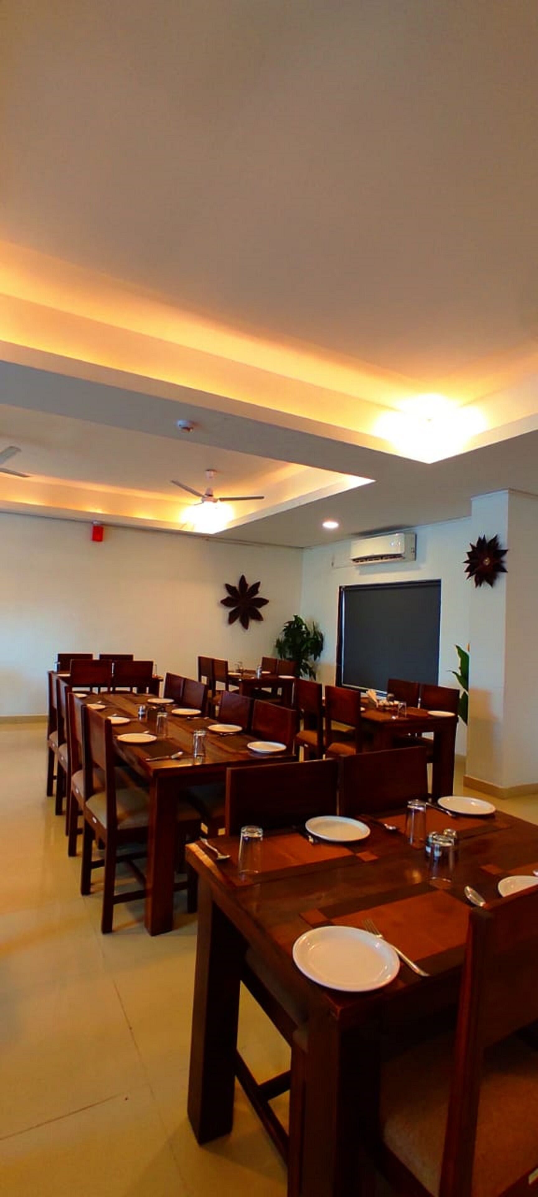 Purple Beds by VITS Daman