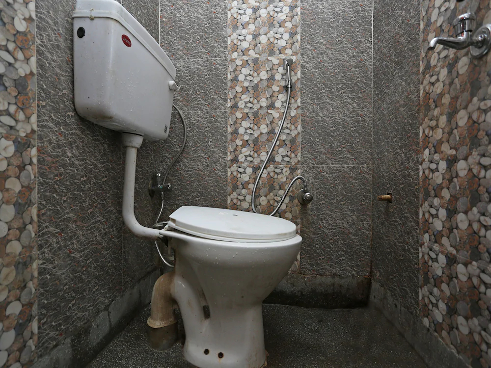 Chauhan Palace By OYO Rooms