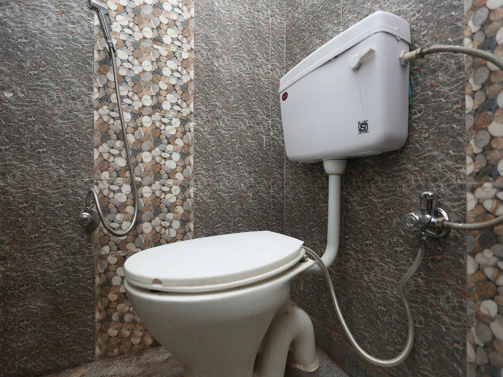 Chauhan Palace By OYO Rooms