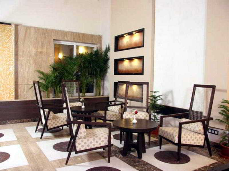 Dolphinn Grand