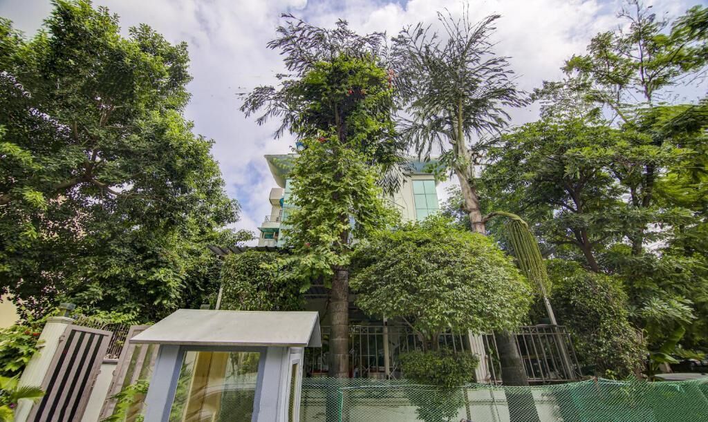 Treebo Trend Mall View