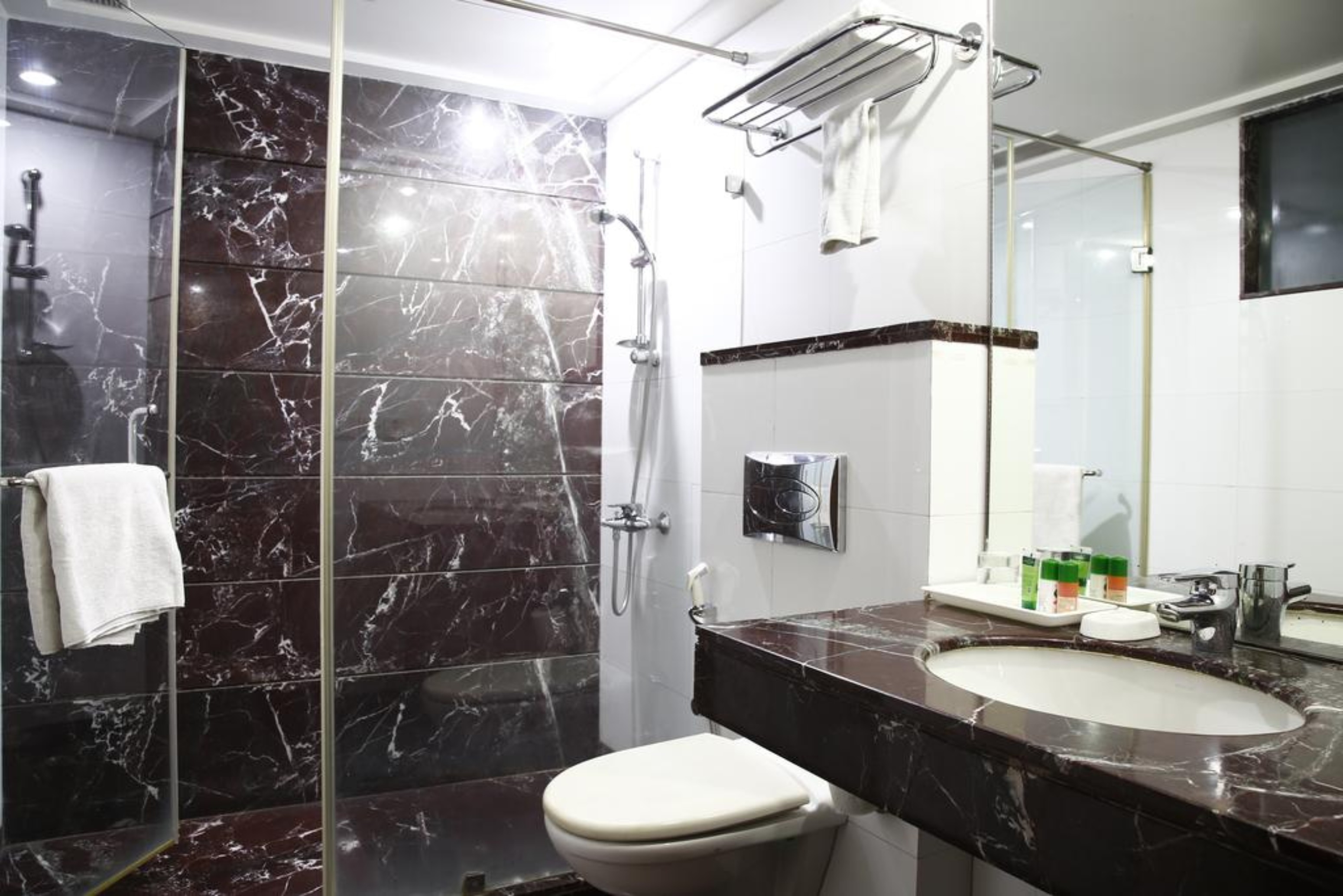 Hotel Mint Safdarjung