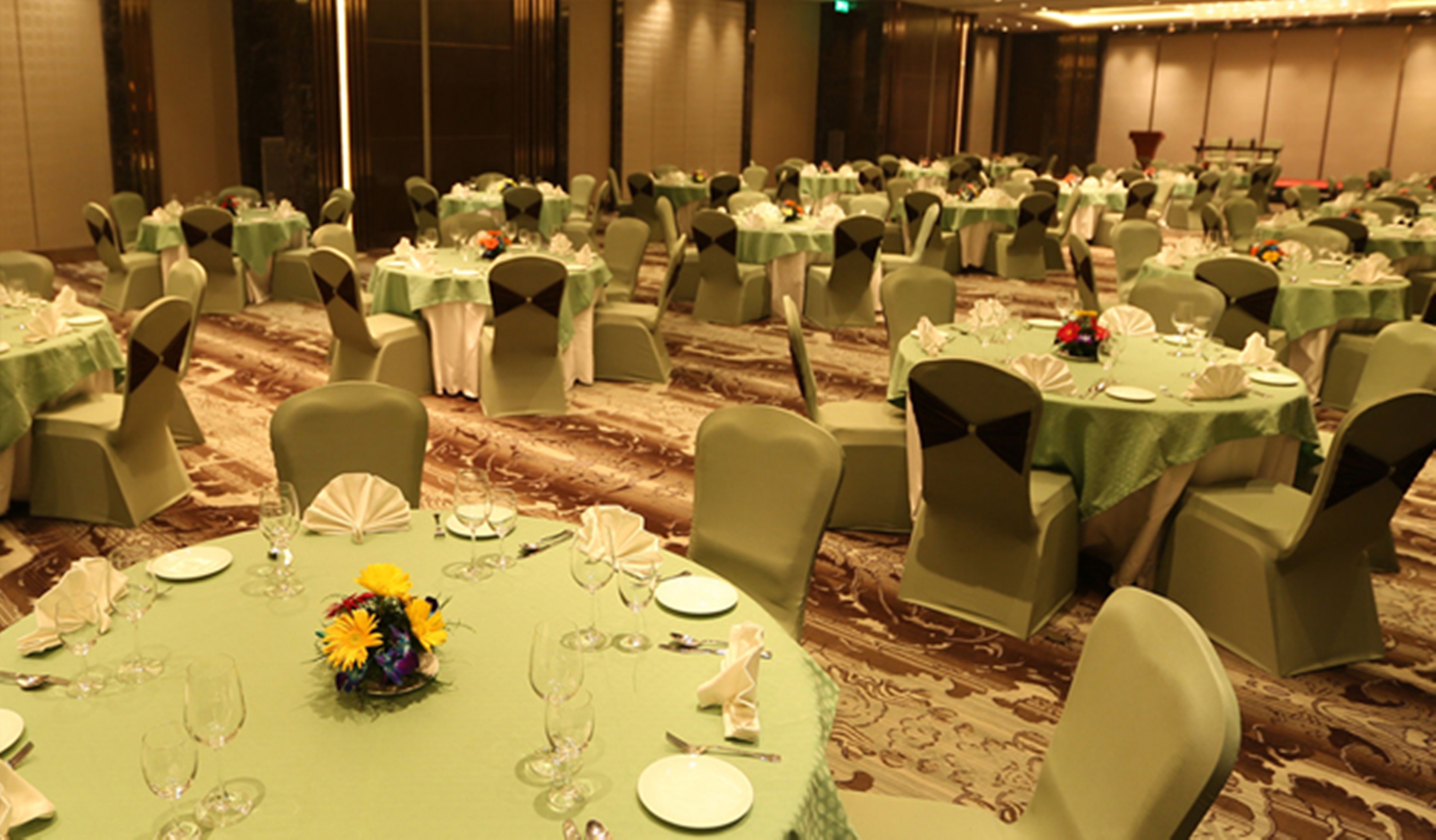 Pride Plaza Hotel Aerocity