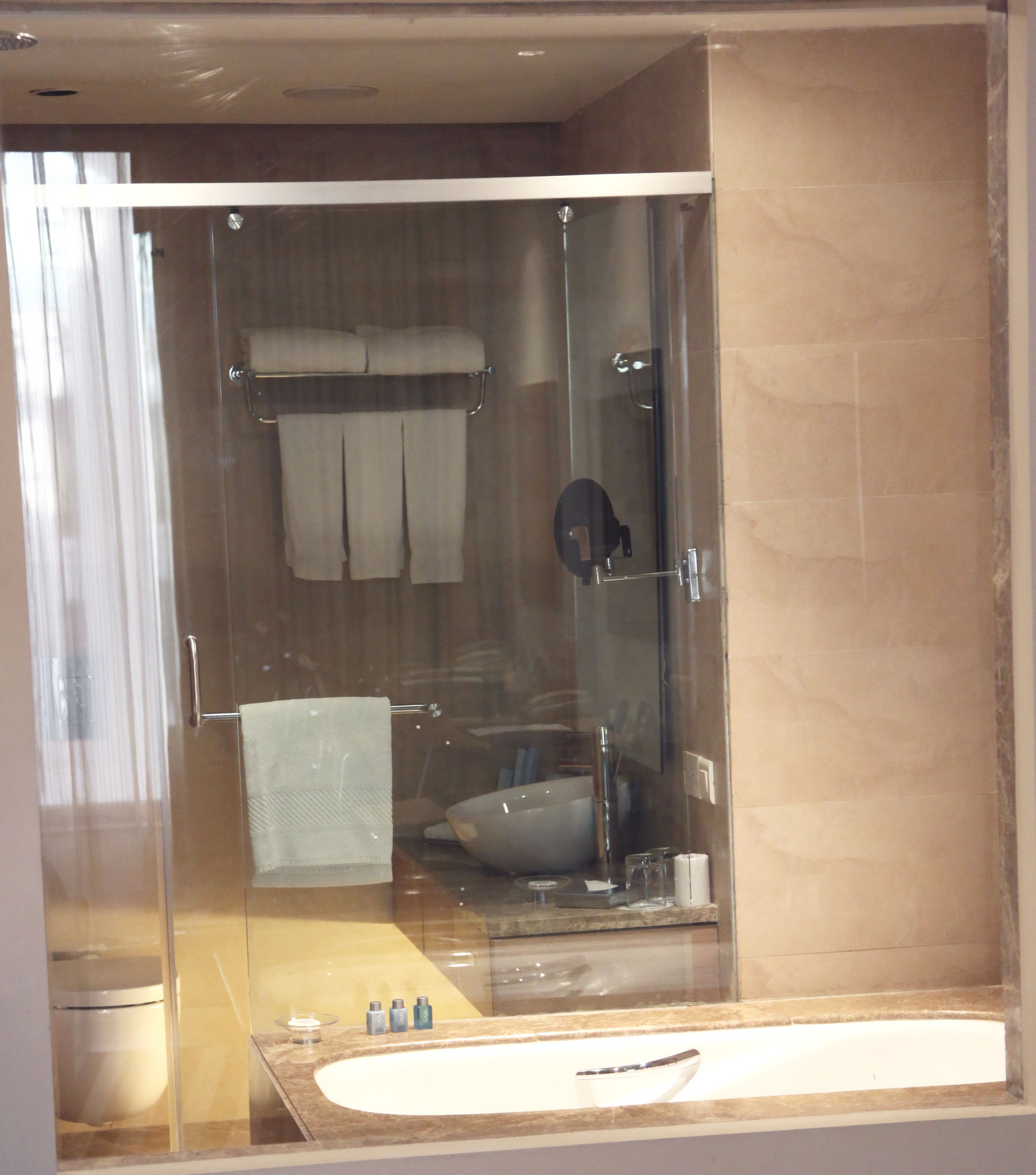 Radisson Blu Hotel, New Delhi Dwarka