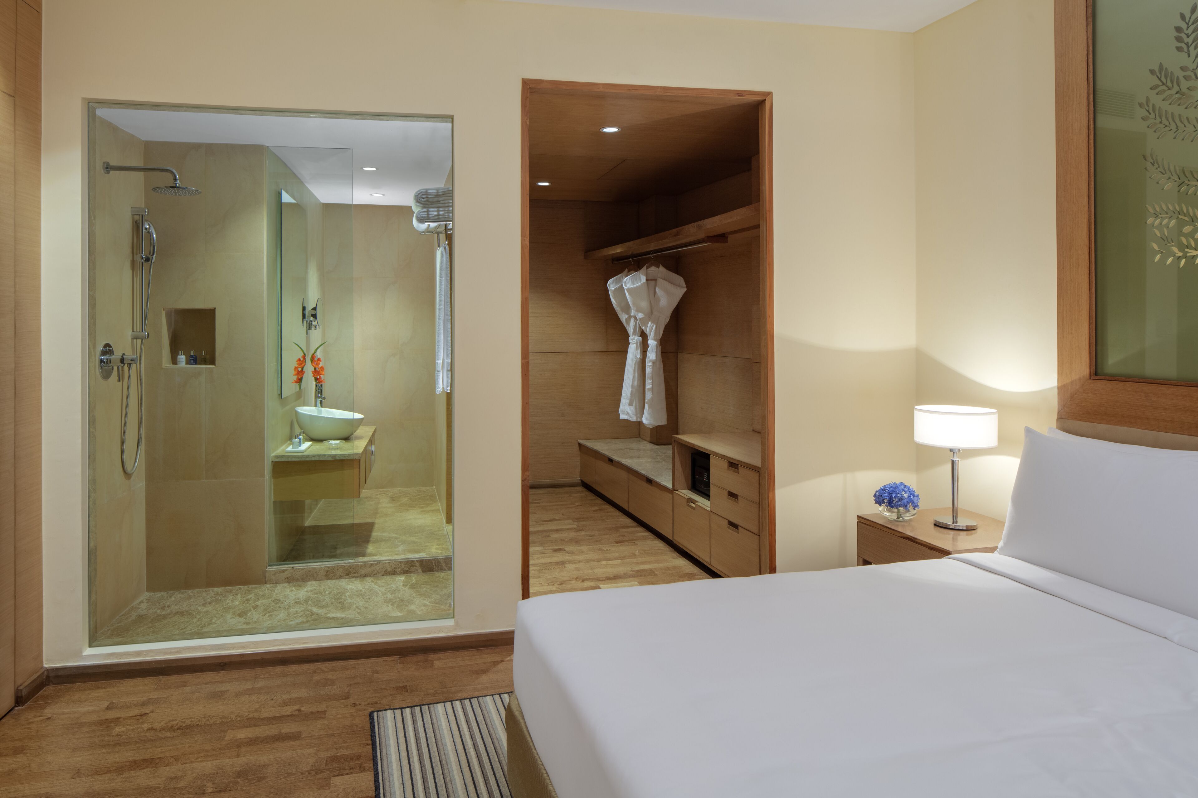 Radisson Blu Hotel, New Delhi Dwarka