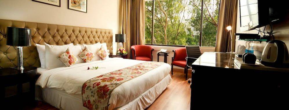 The Athena Hotel