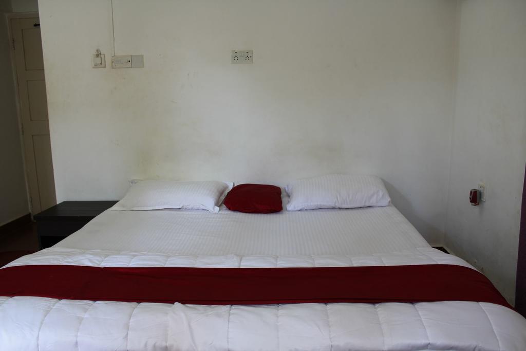 Sugar Plum Macedo Palms