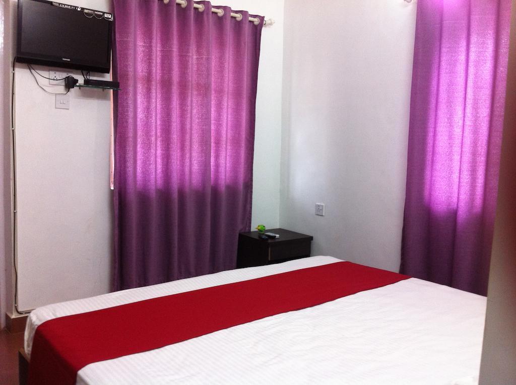 Sugar Plum Macedo Palms