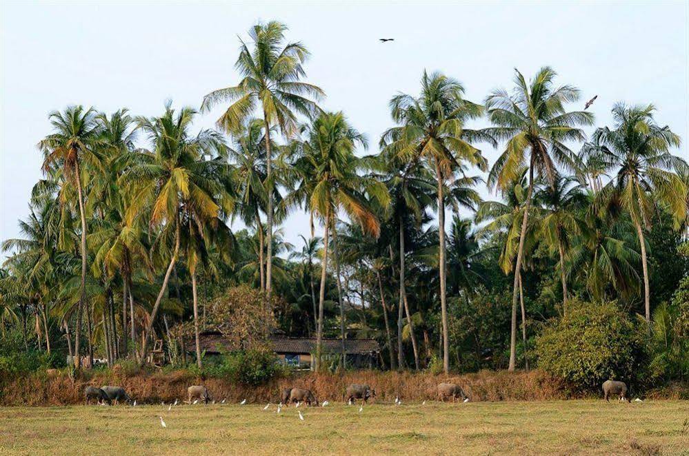 Om Lake Resort