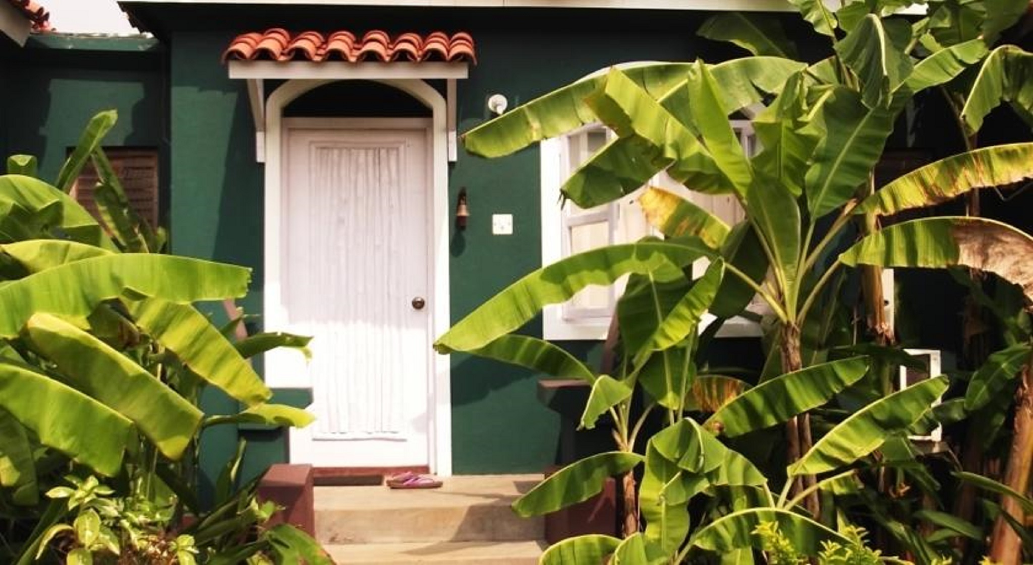 Aquatica Resort & Spa