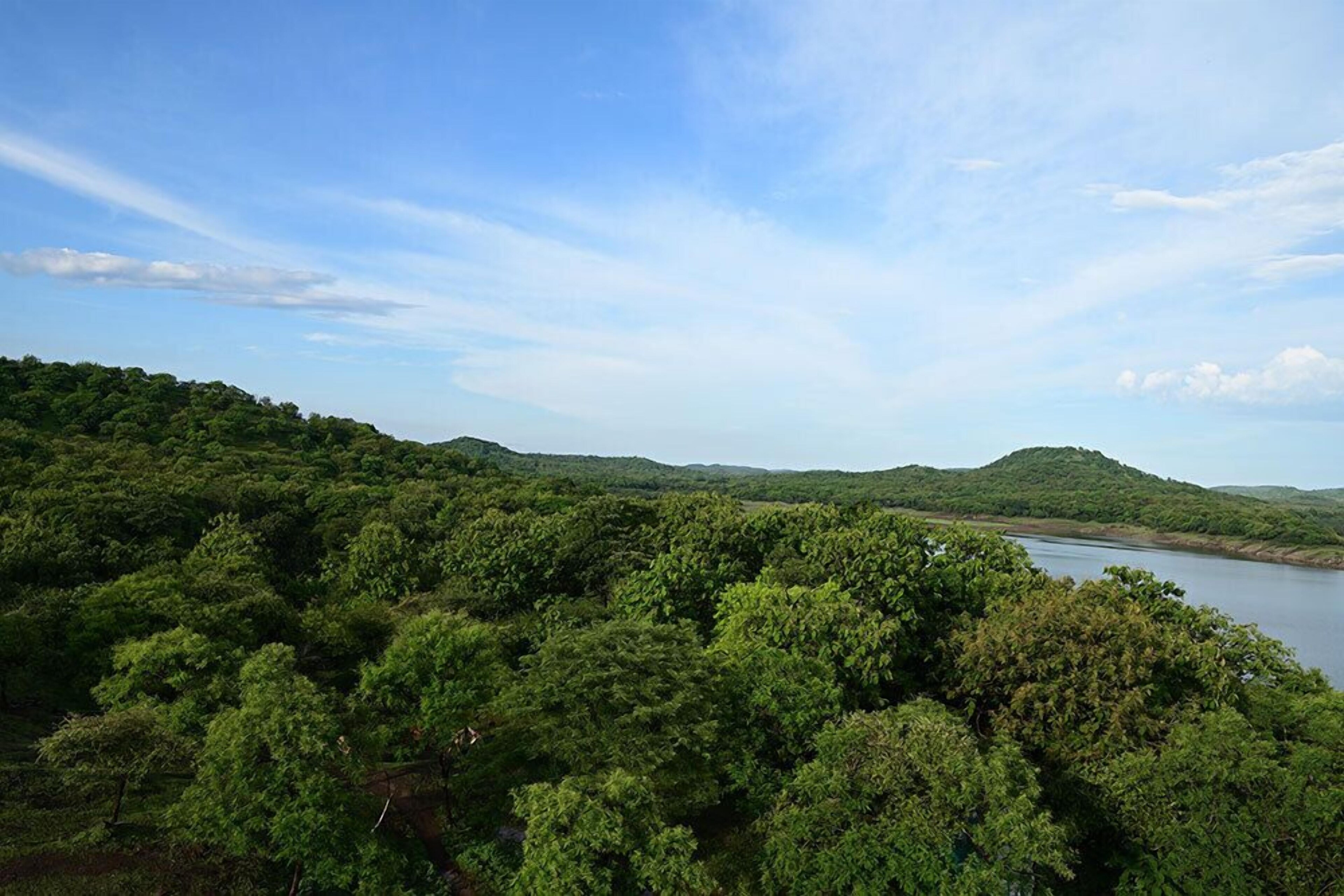 Aramness Gir National Park