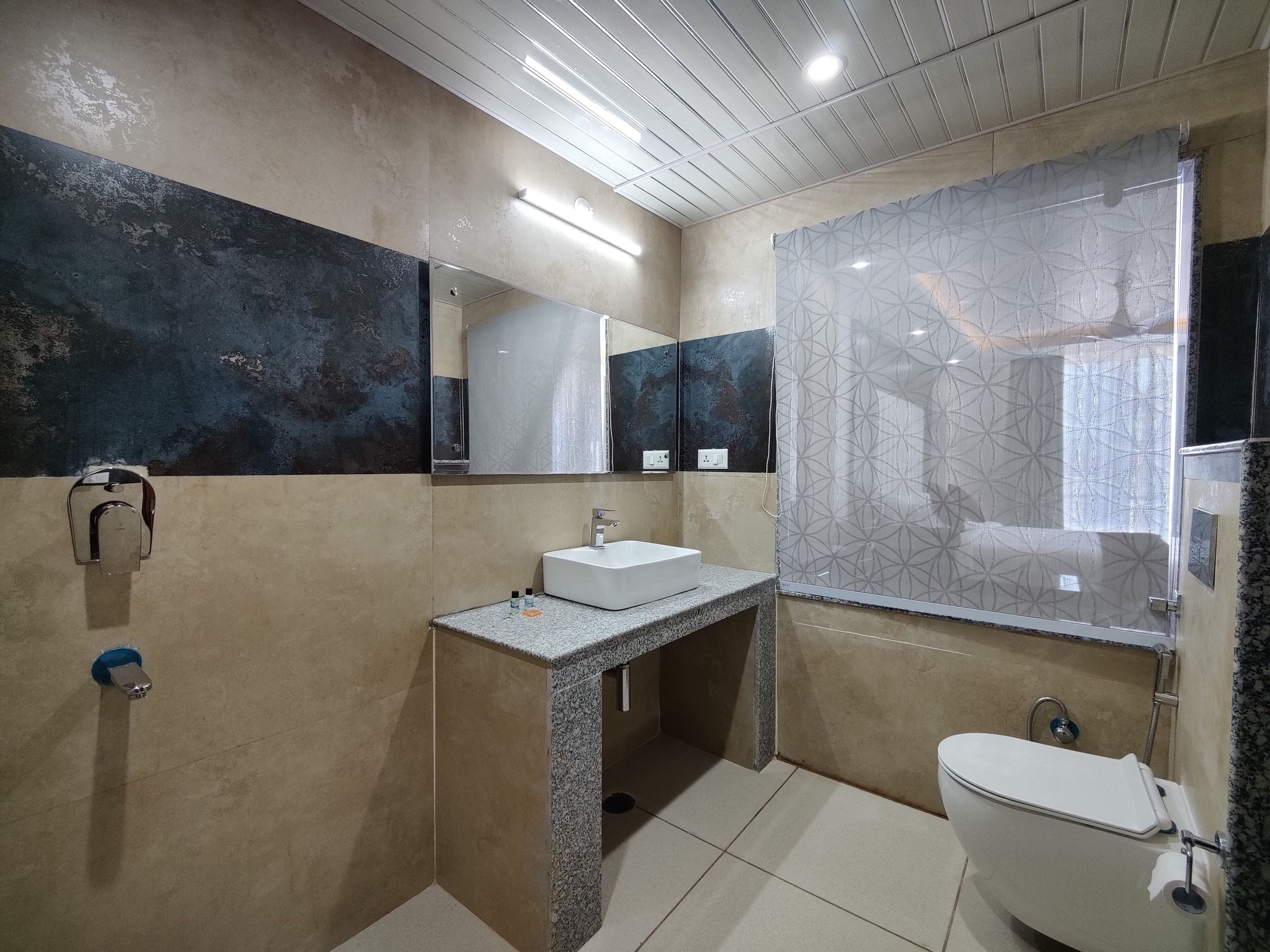 Aliza Inn and Suites