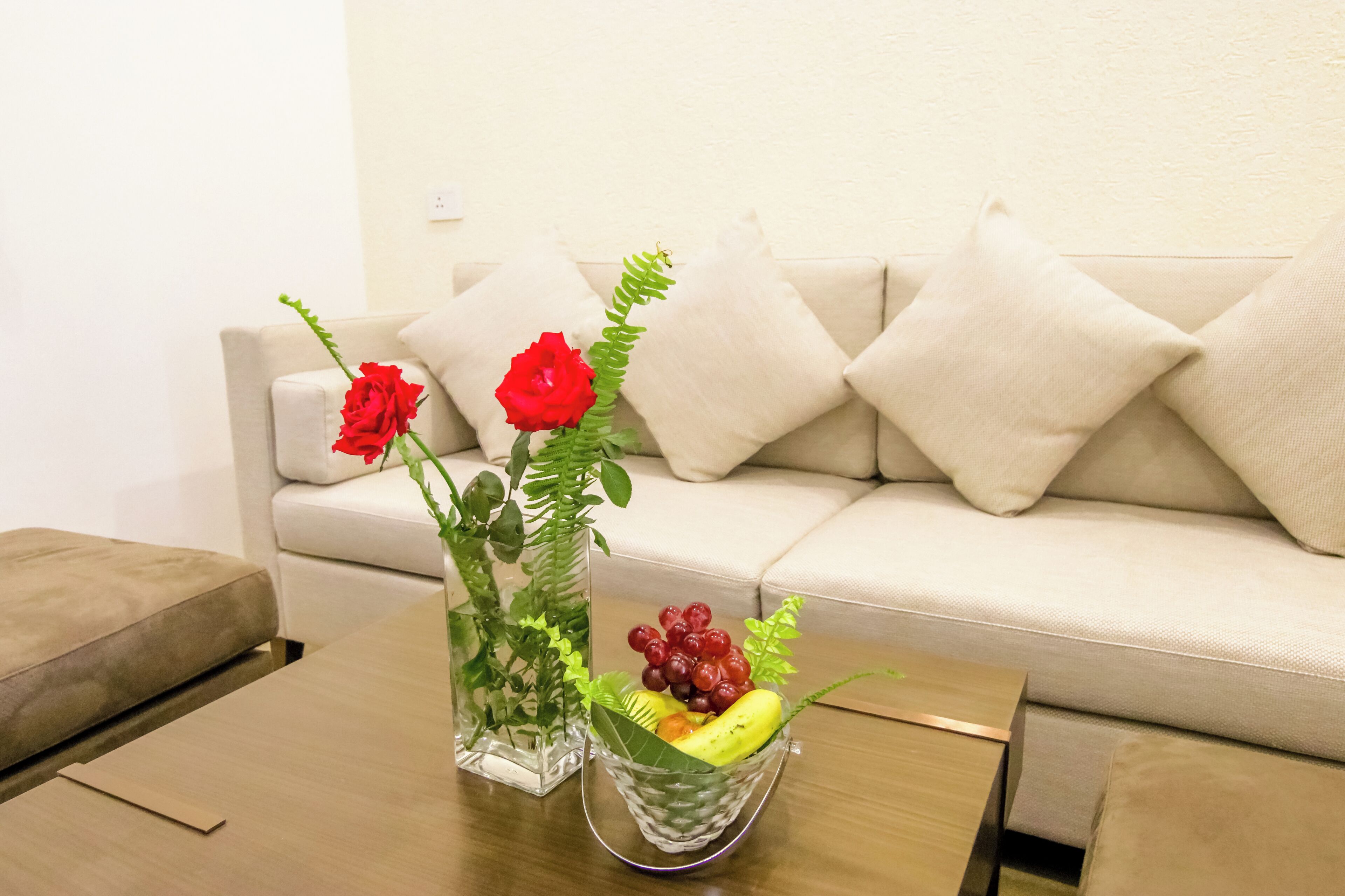 Dhauladhar Heights Resort