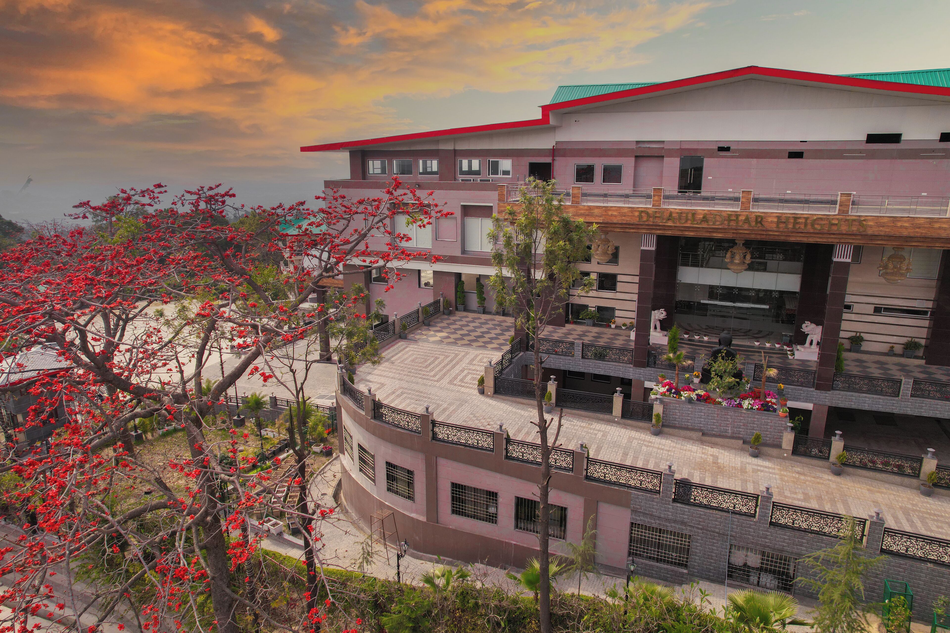 Dhauladhar Heights Resort