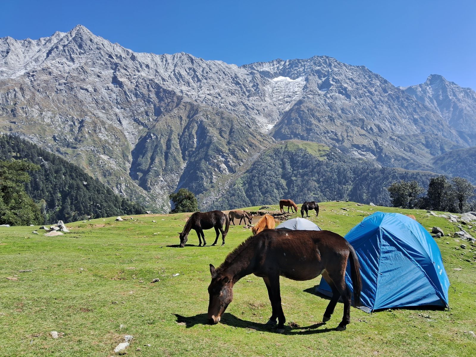 Hostel Hikers World