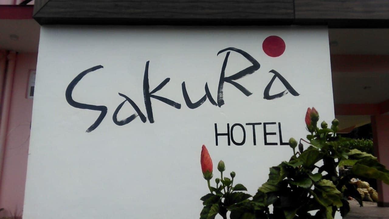 Sakura Guest House
