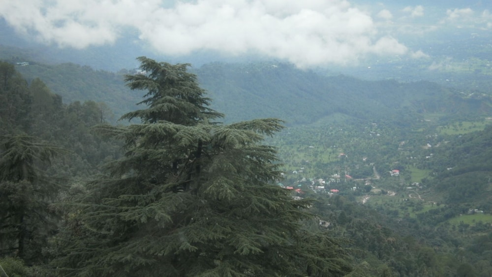 Amritara Surya Mcleodganj Dharamshala