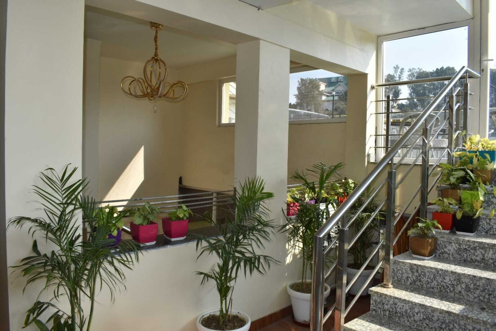 Hotel The Mango Tree