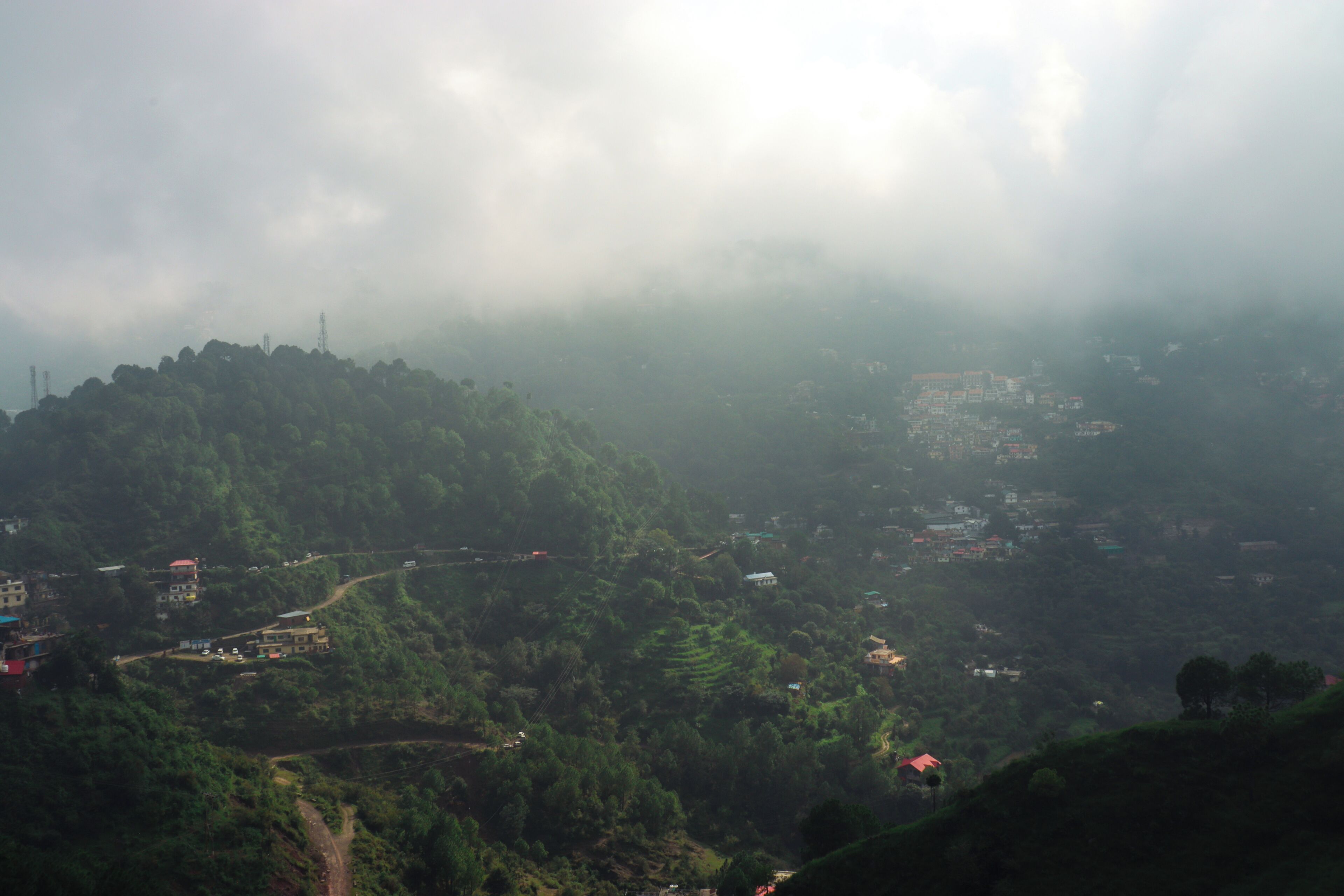 Rosetum Kasauli