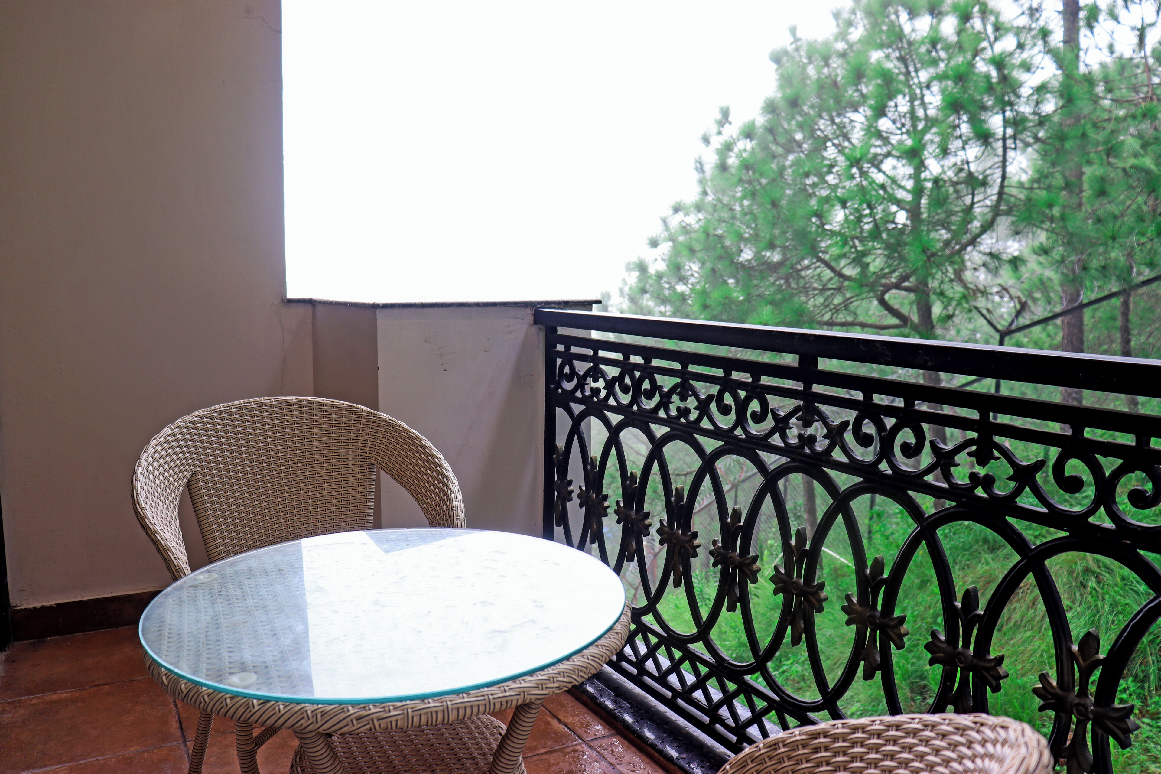 Rosetum Kasauli