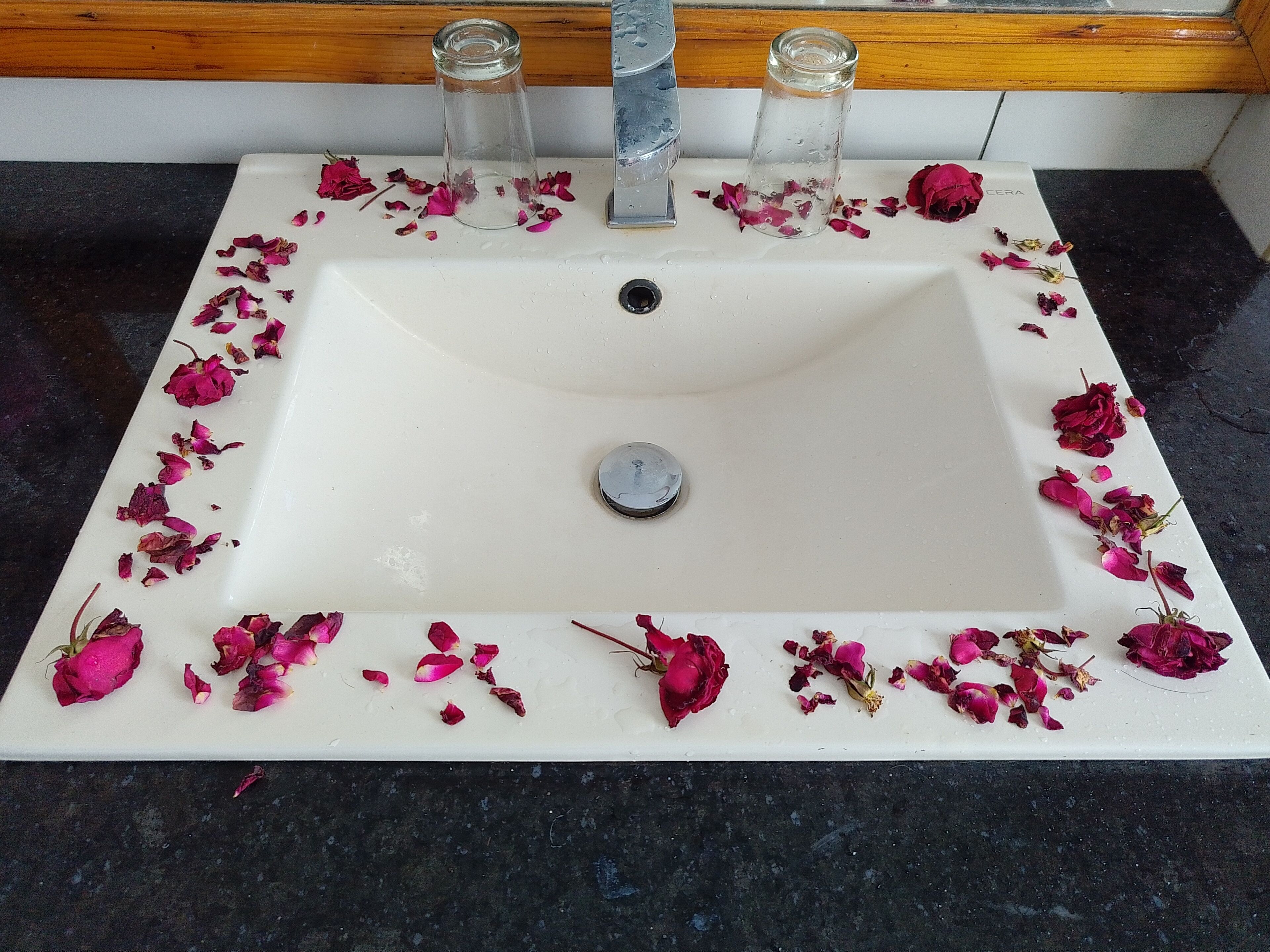 Elegance Retreat